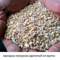 Дежерминатор МП - Измельчительная машина для дробления зерен кукурузы и получения зародышей