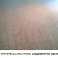 Дежерминатор МП - Измельчительная машина для дробления зерен кукурузы и получения зародышей